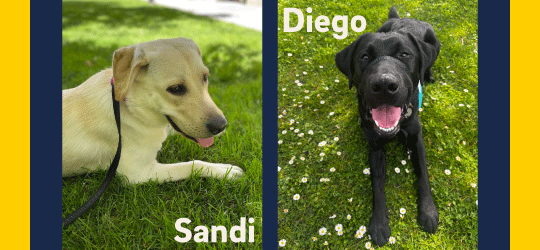 Sandi and Diego